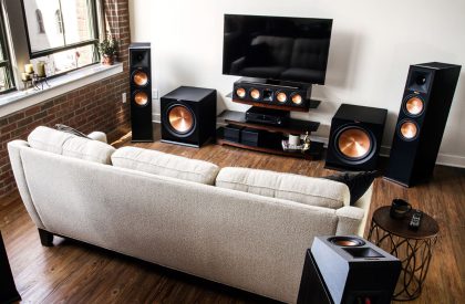 Mantis loudspeaker and amplifier project